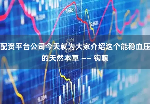 配资平台公司今天就为大家介绍这个能稳血压的天然本草 —— 钩藤