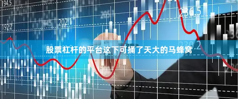 股票杠杆的平台这下可捅了天大的马蜂窝
