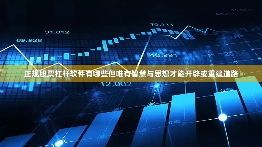 正规股票杠杆软件有哪些但唯有智慧与思想才能开辟或重建道路